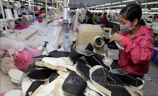 Việt Nam hướng đến các mặt hàng thể thao xuất khẩu "made by Vietnam"