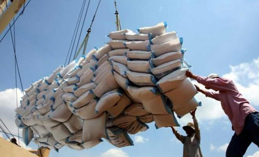 Dự trữ gạo xuống mức thấp, Indonesia khẩn cấp nhập khẩu 200.000 tấn và tìm đến Việt Nam