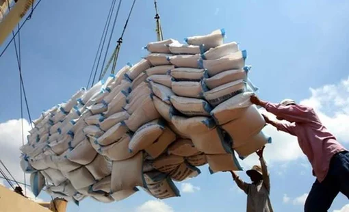 Dự trữ gạo xuống mức thấp, Indonesia khẩn cấp nhập khẩu 200.000 tấn và tìm đến Việt Nam