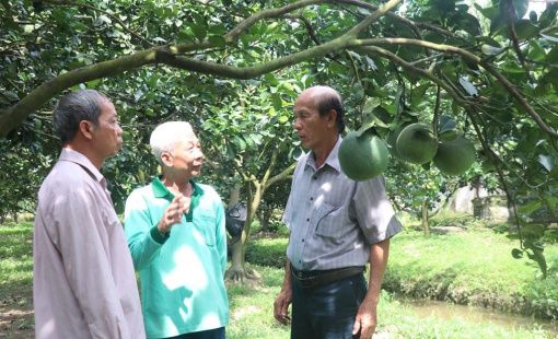 Học cách tìm đầu ra nông sản chuyên nghiệp