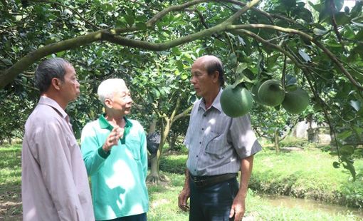 Học cách tìm đầu ra nông sản chuyên nghiệp