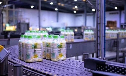 Liên doanh thực phẩm và đồ uống 400 tỷ đồng giữa Vinamilk và Kido giải thể
