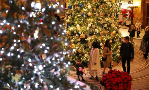 Cây thông Noel vẫn đắt hàng tại Mỹ bất chấp lạm phát