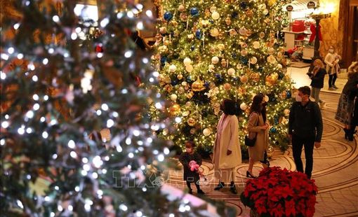Cây thông Noel vẫn đắt hàng tại Mỹ bất chấp lạm phát