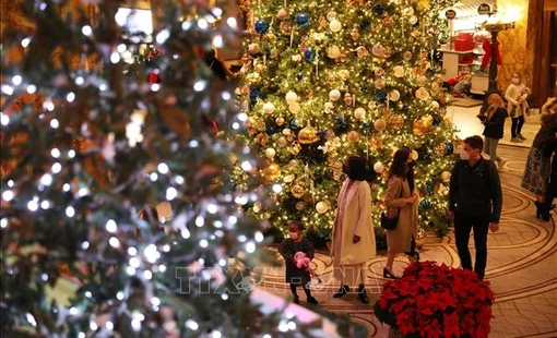 Cây thông Noel vẫn đắt hàng tại Mỹ bất chấp lạm phát