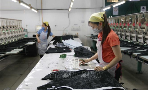 TP. HCM: Gần 927 tỷ đồng tổ chức các hoạt động và chăm lo Tết Quý Mão