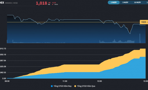 VN30 cố giải cứu thị trường nhưng vẫn còn sự tổn thương ở nhóm Midcap và Penny