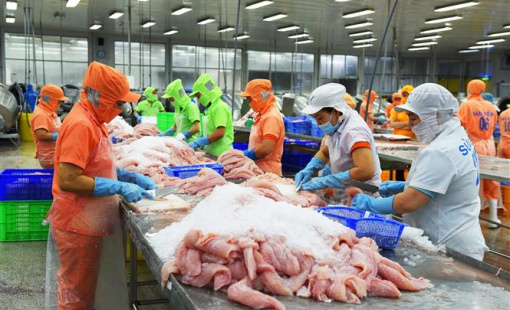 "Cần có gói giải cứu doanh nghiệp sớm hơn"