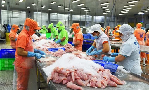 "Cần có gói giải cứu doanh nghiệp sớm hơn"