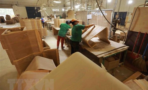 Ngành gỗ tận dụng từng lợi thế để đạt mục tiêu năm 2022