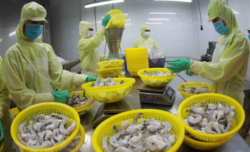 Bộ trưởng Lê Minh Hoan: Làm sâu sắc vai trò trụ đỡ của nông nghiệp