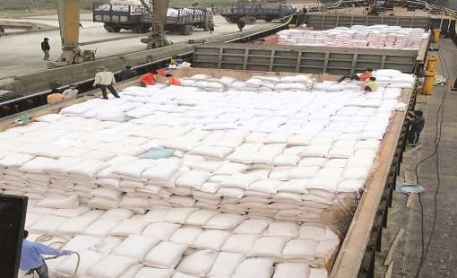 Ấn Độ tiếp tục hạn chế xuất khẩu gạo trắng, Việt Nam đón tác động gì?