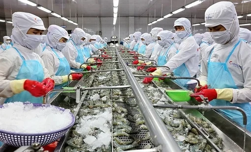 Ngành tôm vượt khó cán đích 4,3 tỷ USD