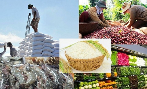 Ngành nông nghiệp Việt Nam xác lập nhiều kỷ lục trong năm 2022