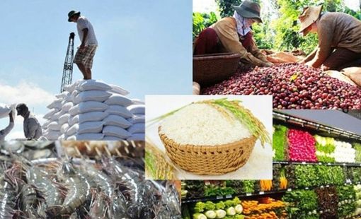 Ngành nông nghiệp Việt Nam xác lập nhiều kỷ lục trong năm 2022