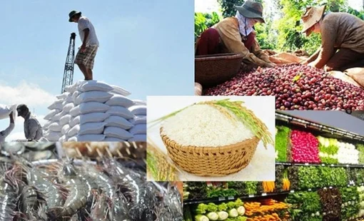 Ngành nông nghiệp Việt Nam xác lập nhiều kỷ lục trong năm 2022