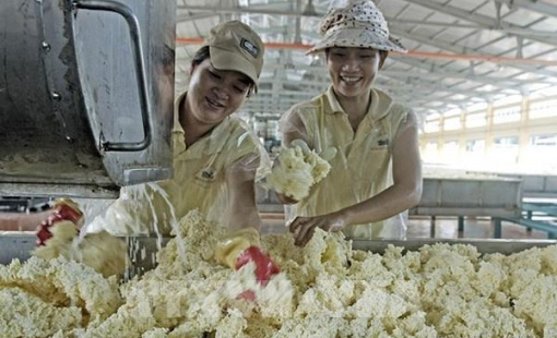 Kinh tế Bình Phước tăng trưởng 8,4%