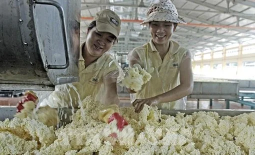 Kinh tế Bình Phước tăng trưởng 8,4%