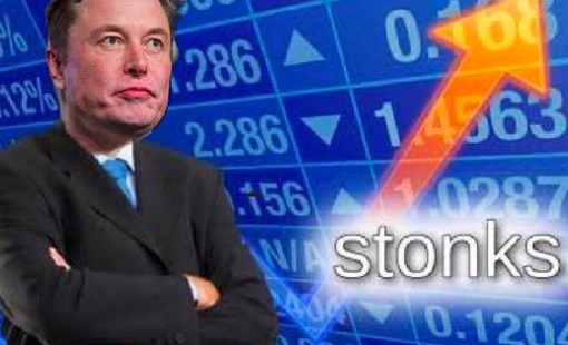 Nhóm bán khống cổ phiếu Tesla lãi 17 tỷ đô sau nhiều năm "trầy trật"