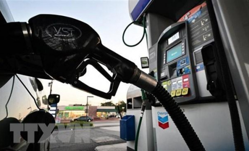 Thị trường dầu mỏ phản ứng tích cực với quyết định sản lượng của OPEC+