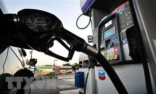 Thị trường dầu mỏ phản ứng tích cực với quyết định sản lượng của OPEC+