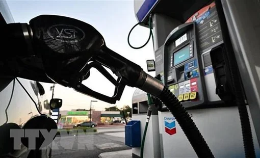 Thị trường dầu mỏ phản ứng tích cực với quyết định sản lượng của OPEC+