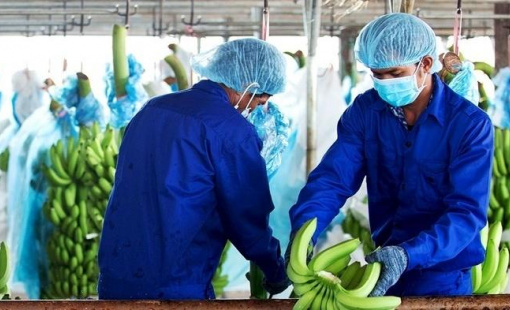 HAGL lãi hơn 1.100 tỷ đồng, sắp cán đích lợi nhuận năm sau 11 tháng