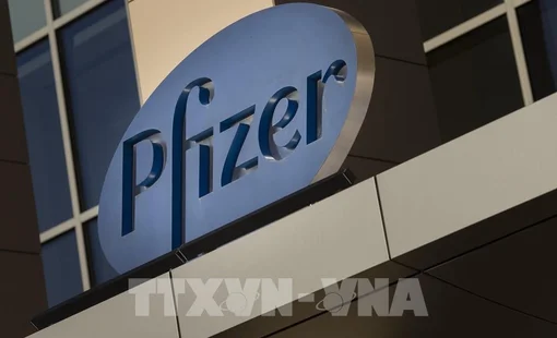 Vì sao giá cổ phiếu của Pfizer và Moderna lao dốc bất chấp “mỏ vàng” vaccine ngừa COVID-19?