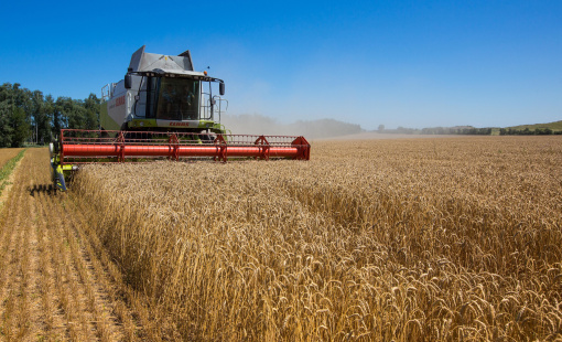 OECD: Xung đột Ukraine khiến lạm phát tại các nước giàu tăng lên mức 9%