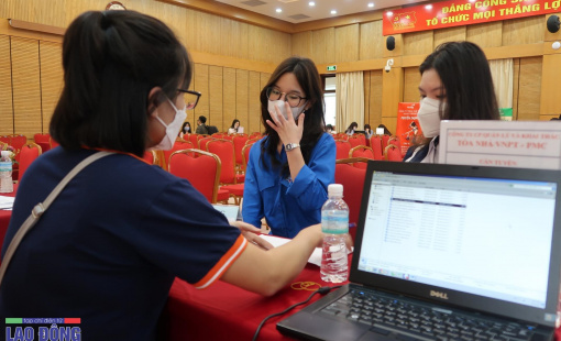 Thị trường lao động nhiều khởi sắc