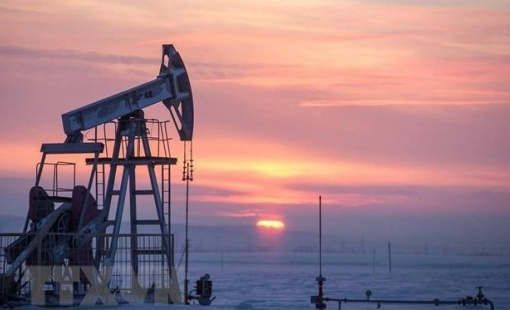 OPEC lần thứ ba hạ dự báo tăng trưởng nhu cầu dầu năm 2022