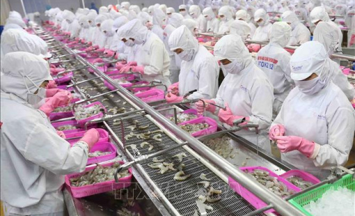 Dư địa xuất khẩu sang EU còn nhiều nếu doanh nghiệp tận dụng tốt EVFTA