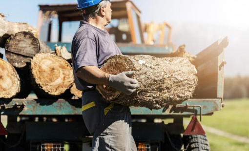 Người dân châu Âu trở lại sưởi ấm bằng củi vì giá khí đốt cao