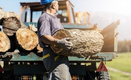 Người dân châu Âu trở lại sưởi ấm bằng củi vì giá khí đốt cao
