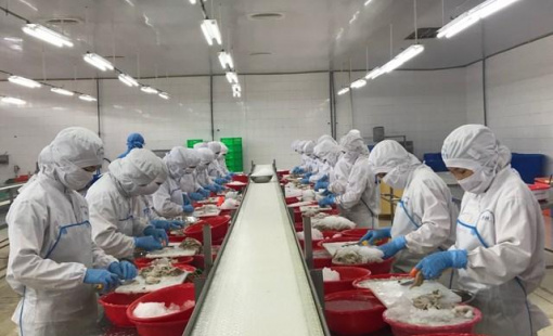 Doanh nghiệp cần cẩn trọng trong giao dịch thanh toán quốc tế