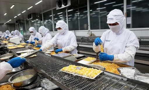 Doanh nghiệp xuất khẩu không ảnh hưởng nhiều khi giá bán USD biến động