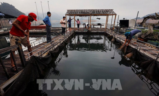 Dư địa nào cho phát triển nuôi trồng thủy sản vùng hồ chứa?