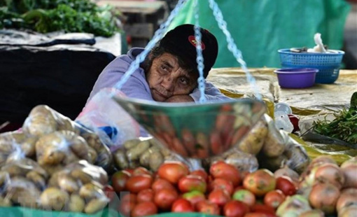 Hành động khẩn cấp để ứng phó cuộc khủng hoảng lương thực toàn cầu