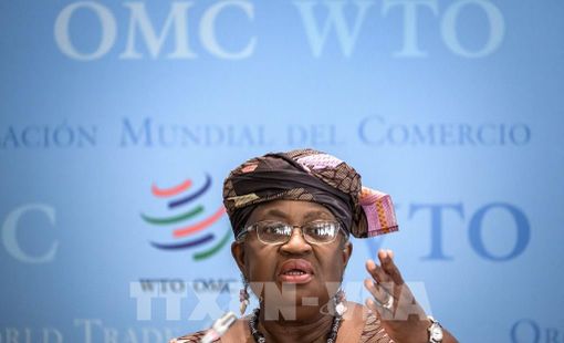 Tổng giám đốc WTO: Kinh tế thế giới trên đà suy thoái