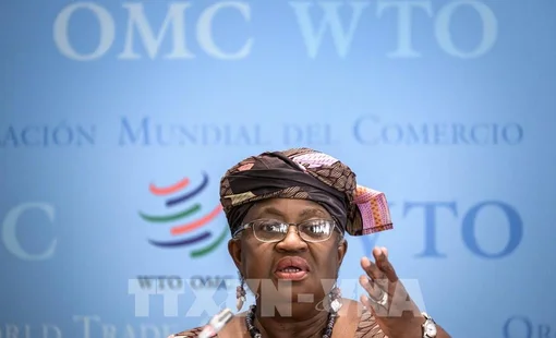 Tổng giám đốc WTO: Kinh tế thế giới trên đà suy thoái