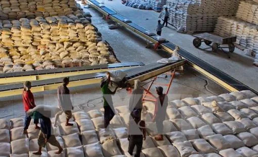 Doanh nghiệp thích ứng như thế nào với điều kiện từ Hiệp định CPTPP?