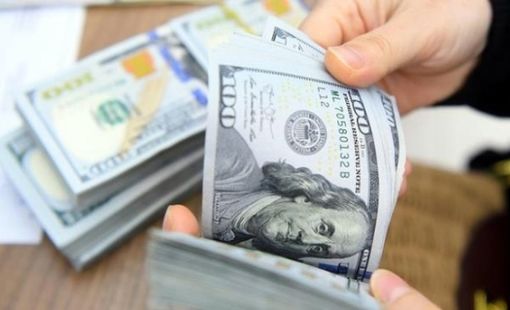 Ngân hàng Nhà nước nói gì về đề xuất hỗ trợ lãi suất cho vay bằng đồng USD?