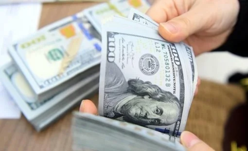 Ngân hàng Nhà nước nói gì về đề xuất hỗ trợ lãi suất cho vay bằng đồng USD?