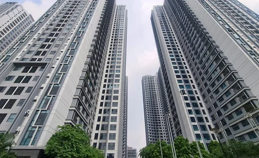 Giá chung cư năm qua đã tăng tới 15%, mức giá trung bình đạt 47 triệu đồng/m2