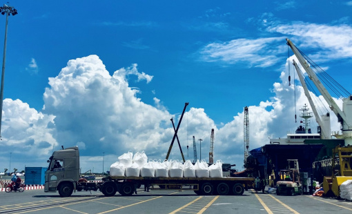 Công ty Cổ phần Phân bón Dầu khí Cà Mau: Cung ứng tối đa nội địa, hướng mạnh xuất khẩu