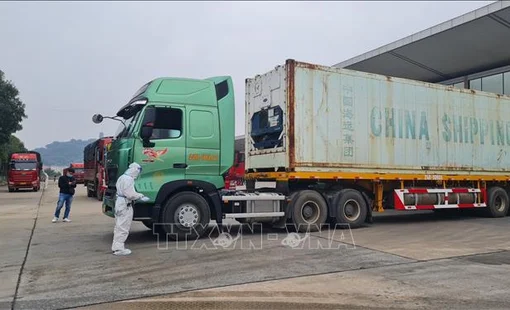 Xuất nhập khẩu qua cửa khẩu Lào Cai có nhiều tín hiệu tích cực