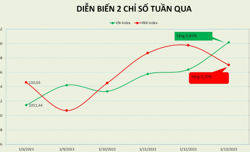 VN-Index đi ngang trong tuần giao dịch thứ 2 của 2023, EIB đột biến giao dịch thoái vốn