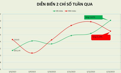 VN-Index đi ngang trong tuần giao dịch thứ 2 của 2023, EIB đột biến giao dịch thoái vốn