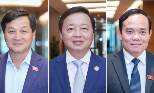 Phân công nhiệm vụ của hai tân Phó thủ tướng Chính phủ