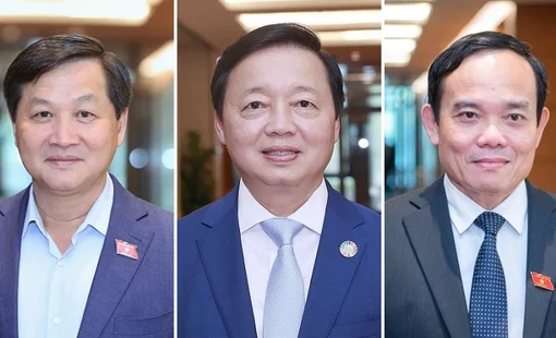 Phân công nhiệm vụ của hai tân Phó thủ tướng Chính phủ